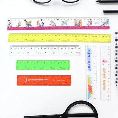 Premium Quality Assorted Plastic Ruler (1 Pc & Mix Design)